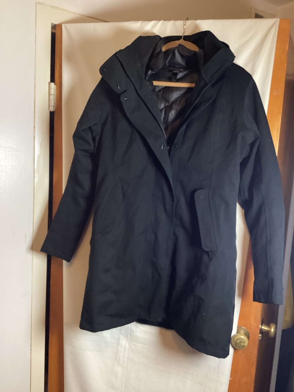 Patagonia Worn Wear Parka with hood Sz L insulation 75% down